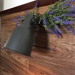Cosy B&B