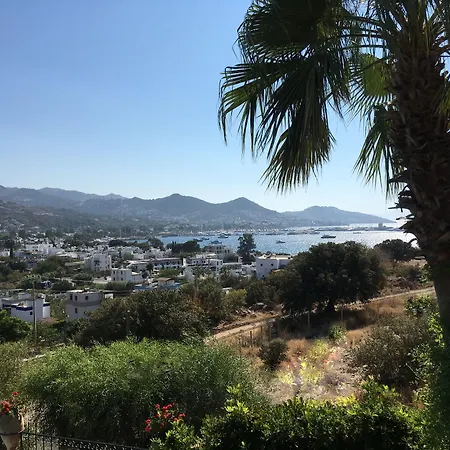 Nocleg ze śniadaniem Cosy Yalıkavak