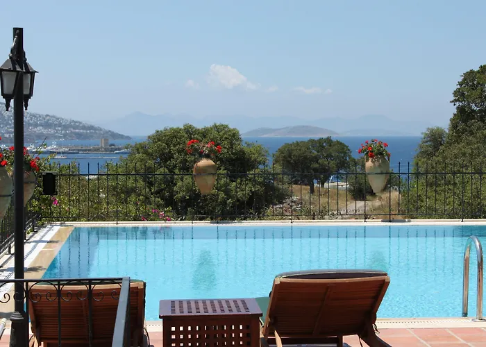 Cosy Nocleg ze śniadaniem 3*