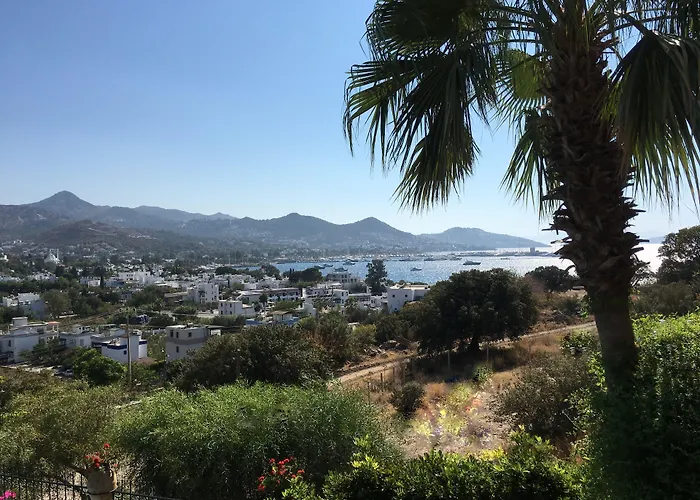 Nocleg ze śniadaniem Cosy Yalıkavak