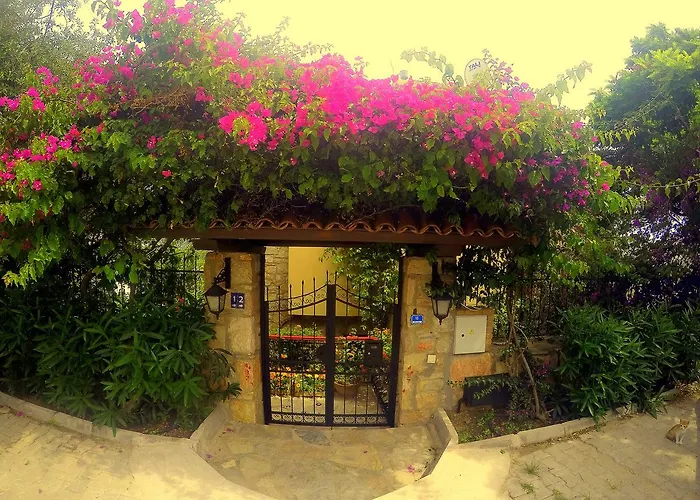 Nocleg ze śniadaniem Cosy Yalıkavak