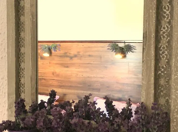 Cosy Nocleg ze śniadaniem 3*