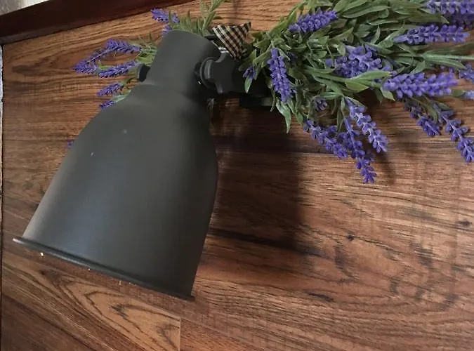 Cosy Nocleg ze śniadaniem