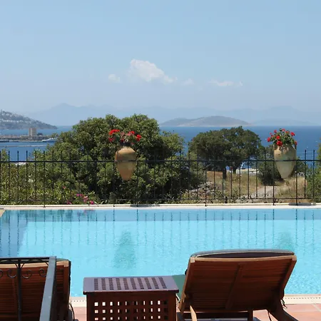 Cosy ベッド・アンド・ブレックファスト 3*