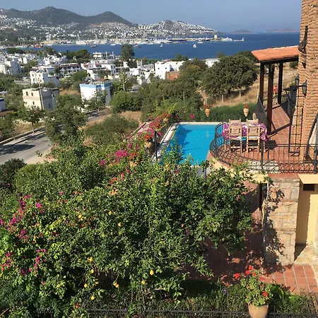 Cosy ベッド・アンド・ブレックファスト