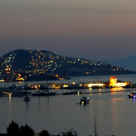 ベッド・アンド・ブレックファスト Cosy