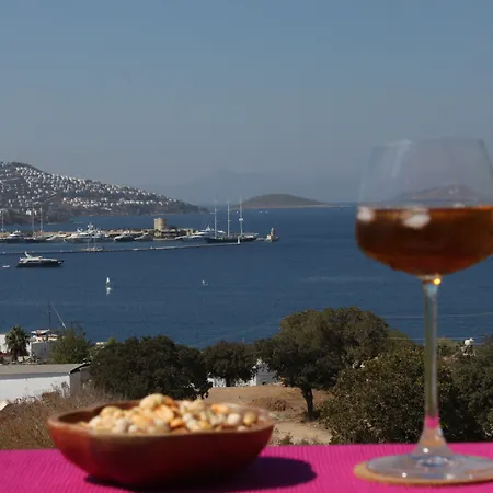 ベッド・アンド・ブレックファスト Cosy 3*