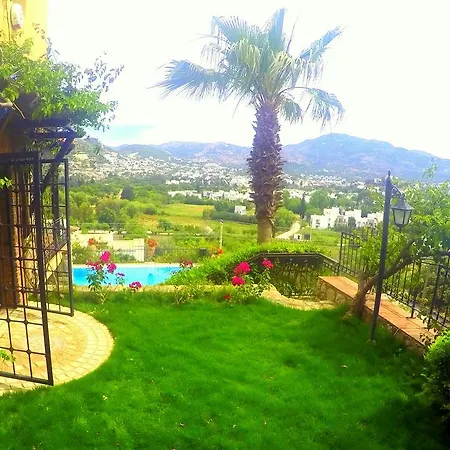 ベッド・アンド・ブレックファスト Cosy