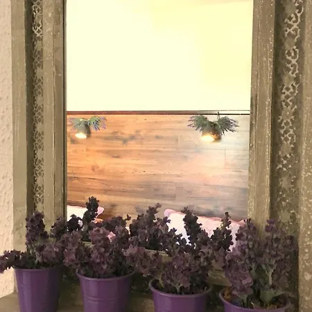 Cosy ベッド・アンド・ブレックファスト 3*