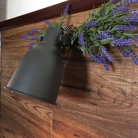 Cosy ベッド・アンド・ブレックファスト