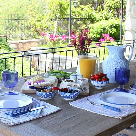 Bed and breakfast Cosy