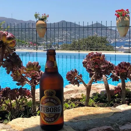 Cosy ベッド・アンド・ブレックファスト