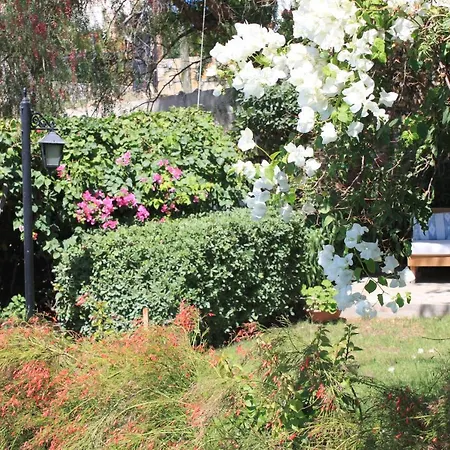 ベッド・アンド・ブレックファスト Cosy Yalıkavak