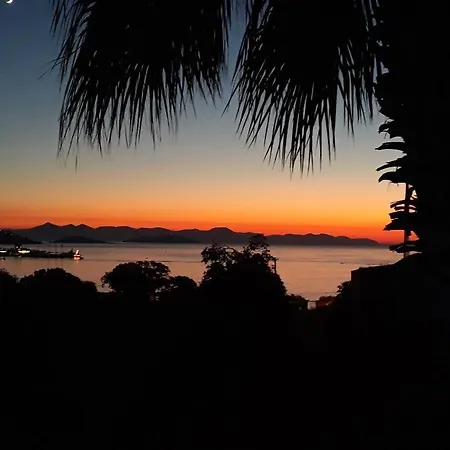 ベッド・アンド・ブレックファスト Cosy