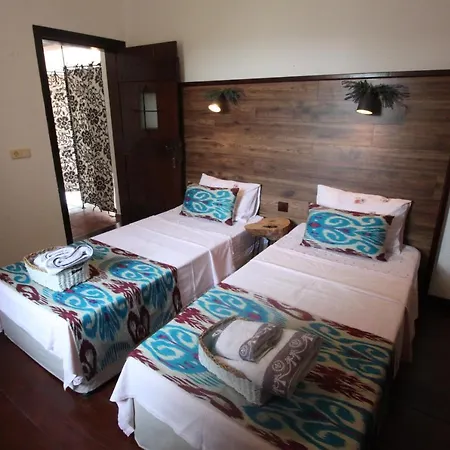 ベッド・アンド・ブレックファスト Cosy